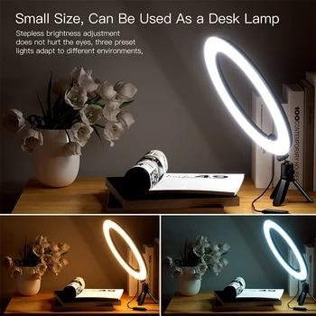 10" LED Selfie Ring Light with Phone Holder, 360° Rotatable, Adjustable 30006000K Color Temperature, USB Powered Fill Light detail image