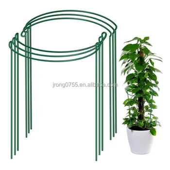 High Quality Plastic Coated Green Half Plant Support Trellis Indoor/Outdoor Gardening Floral Arrangements Clustering Stakes