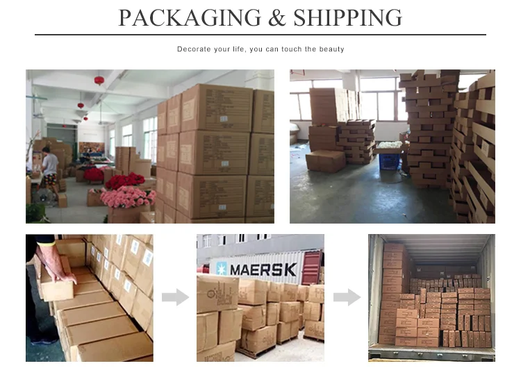 Henan Yongnuo Trading Co., Ltd. 3