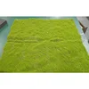 Mousse noire à base jaune-vert [1m*1m]