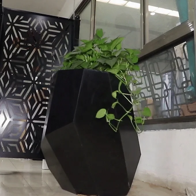 anthurium andrego Anthurium Andraeanum  Adplants