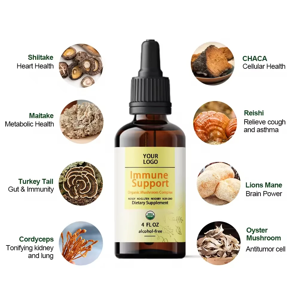Vegan Mushroom Extract Liquid Drops Organic Mushroom Complex Drops