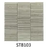 STB103