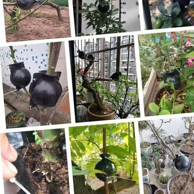 5 Stück Pflanzenwurzelkugeln – Wiederverwendbare Luftschicht-Pods Für Garten & Stecklinge