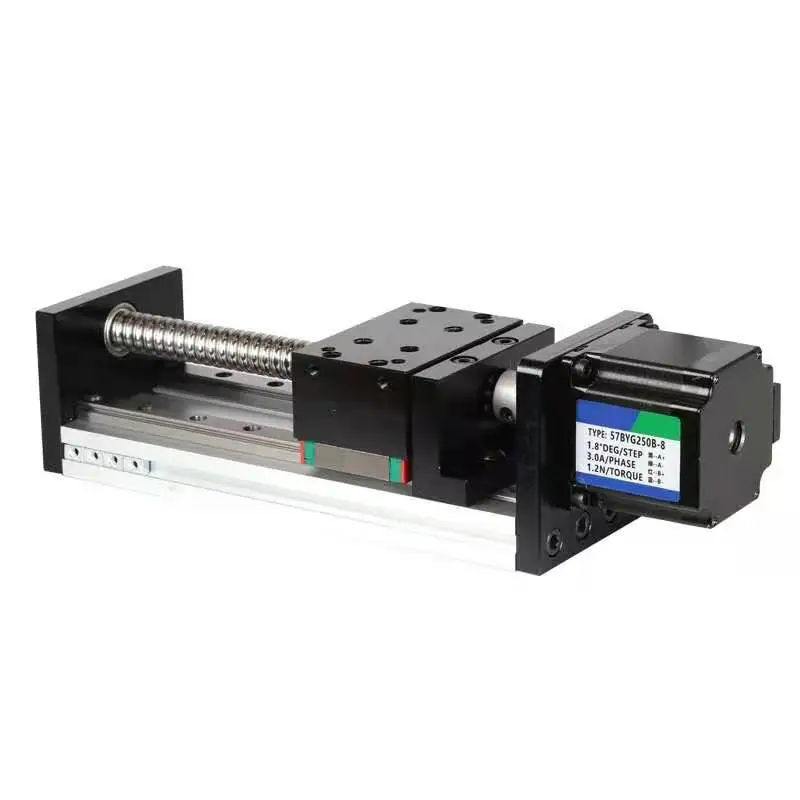 Double Linear Rail Slide Ball Screw Linear Motion Module 502500mm