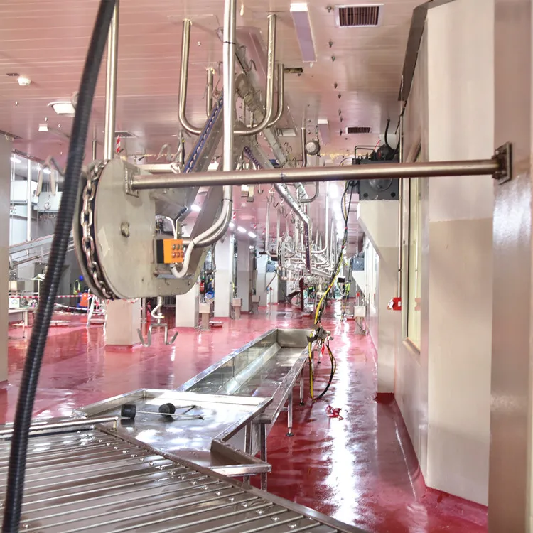 Small ruminant mutton sheep slaughterhouse