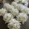 Diamètre 60cm 2