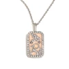 N3797_Silver_Capricorn