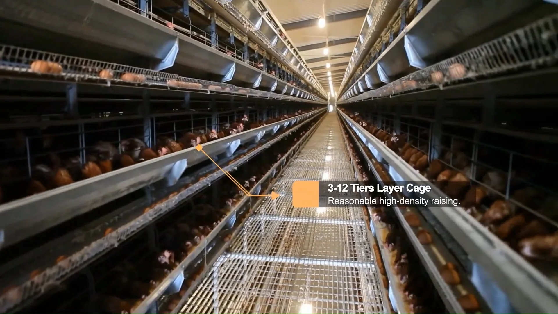 Best Sale Egg Chicken Poultry Farming Equipment Battery Layer Cages In South Africa Buy Layer