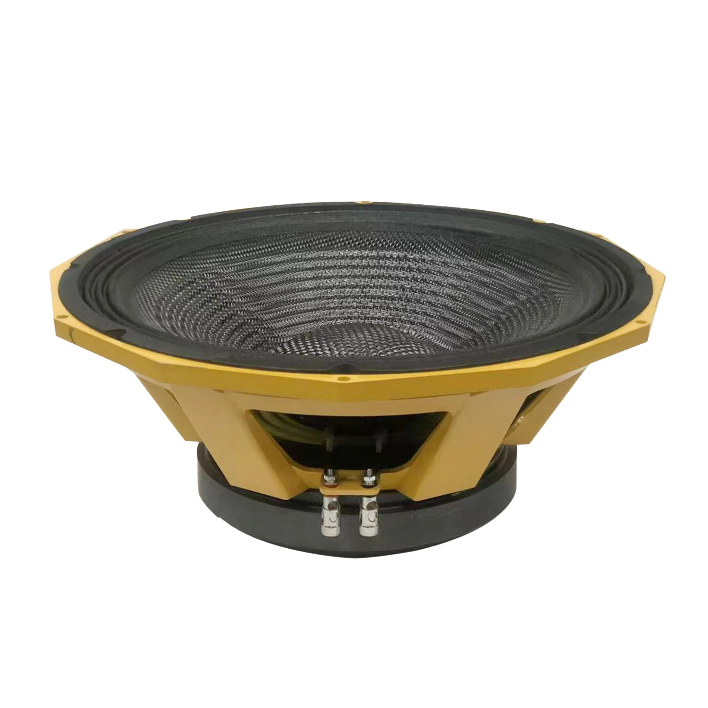 15 इन्च 650W RMS फेराइट म्याग्नेट सबवुफर सहितको PA प्रोफेशनल अडियो लाइन एर्रे स्पीकर आउटडोर साउण्ड सिस्टम