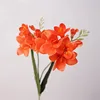MIX--#5