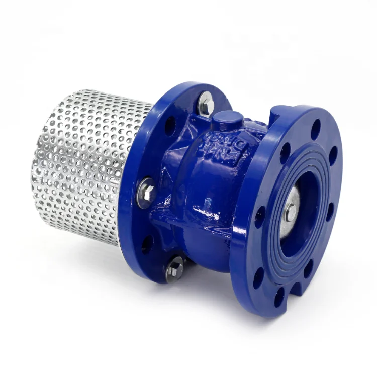 Ductile Iron Iso Standard Flange Type 6" Diameter Foot Valve