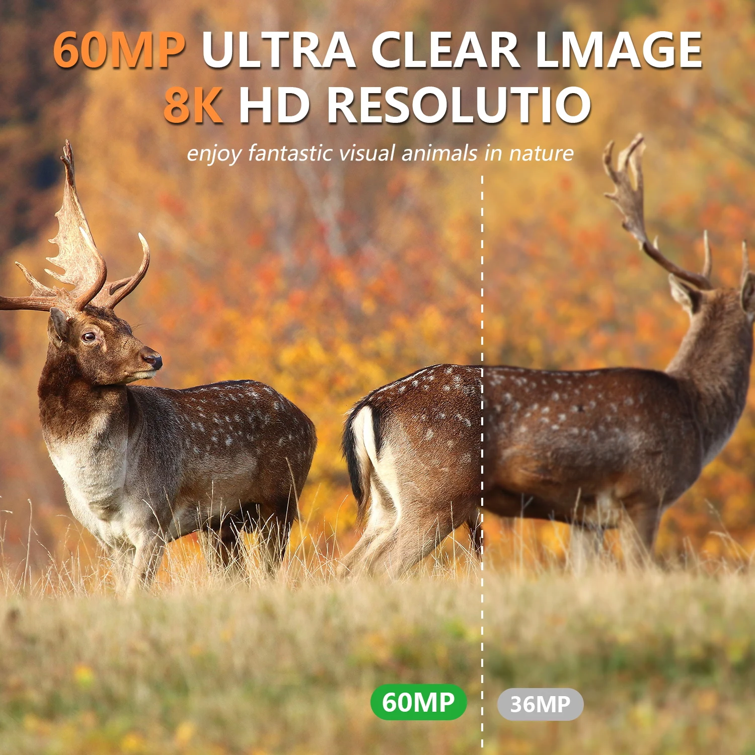 60MP 8K Wifi Solar Hunting Camera PR903W-8K 850nm Trail Camera