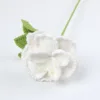Rosa francese bianca