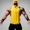 Yellow(Blank,No logo)