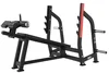 Decline Bench Press Rack