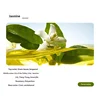 Jasmin