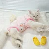 กองทุนปกป้องท้องโคอาล่า