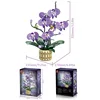 11011 - Orchidée papillon rime violette - 900g - Boîte couleur