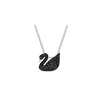 Cisne negro platino - Tamaño pequeño