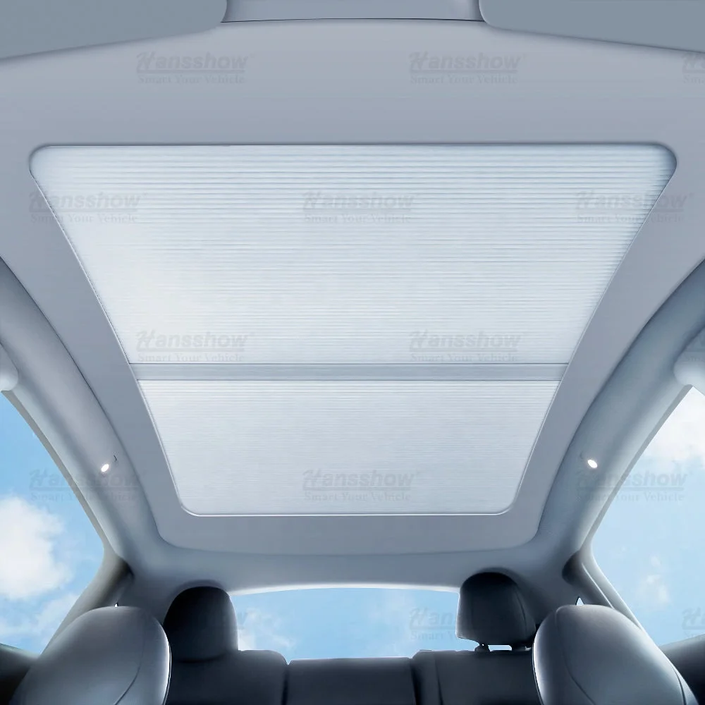 Panorama-Sonnendach aus Eiskristall für Tesla Model 3/Y