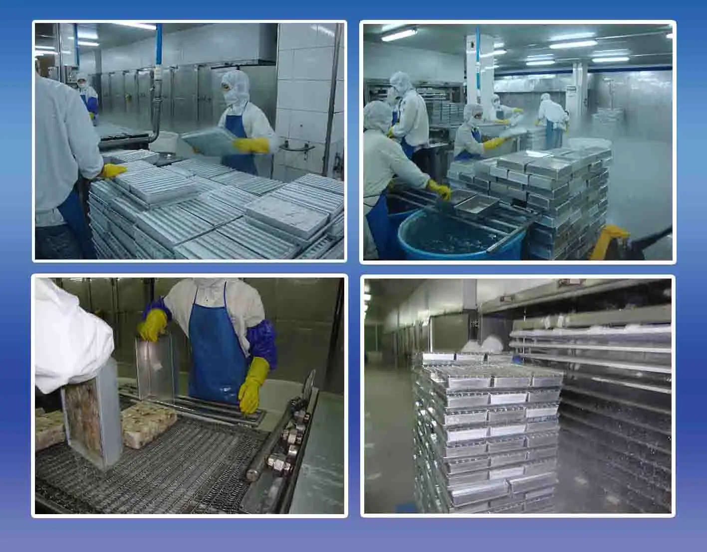 Marine Products Processing Freezing Box, Contact Plate Freezer