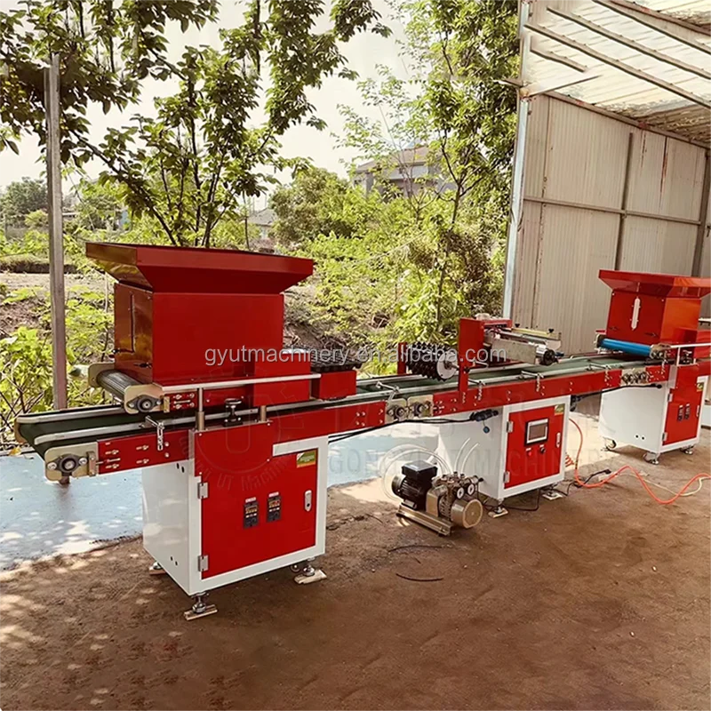 Auto Tray Seeding Sowing Machine Seeder Sower Tray Vegetable Seeder Machine With Trays Seed Sowing Machine