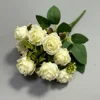 สีขาว