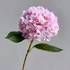 3# Rosa