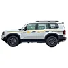 Type 1