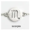 Silver Scorpio