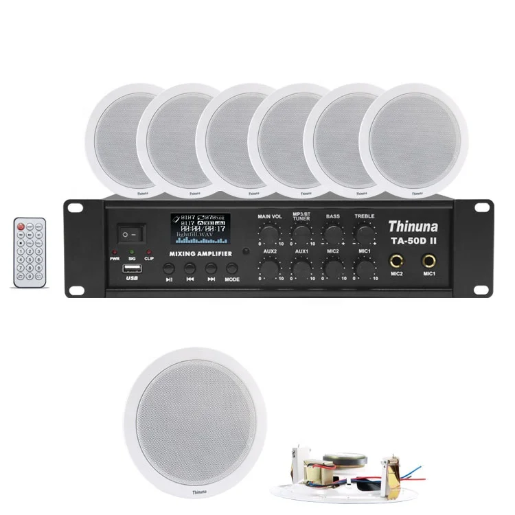 Thinuna CS-306 格安 4インチ 6ワット PAシステム フルレンジ 天井 