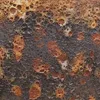 Naranja Rust