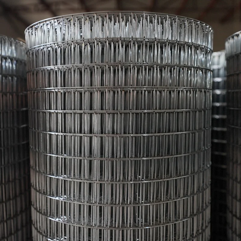 High Quality Factory Price Electric Galvanized Welded Iron Wire Mesh Roll  for Bird Cage Chicken Pens Rabbit Cages