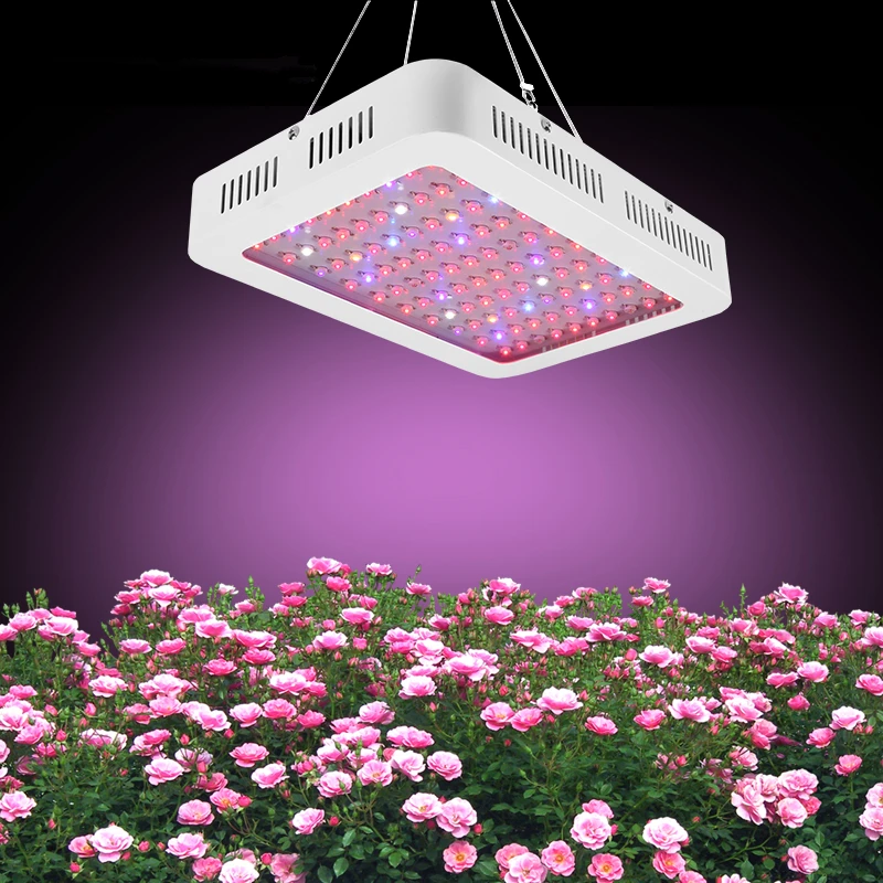 Lampes de culture LED 1000 W spectre complet avec interrupteur de fleurs 