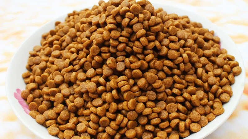 dry wet pet food pellet processing making extruder machine dog