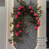 Rose rose Eve rose-mélangée grandes et petites fleurs