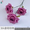 3-headed Manta Rose WY Light Purple