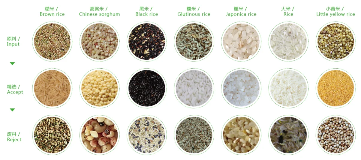 WENYAO intelligent multipurpose grain color sorter machine wheat color sorting machinery for farm  processing
