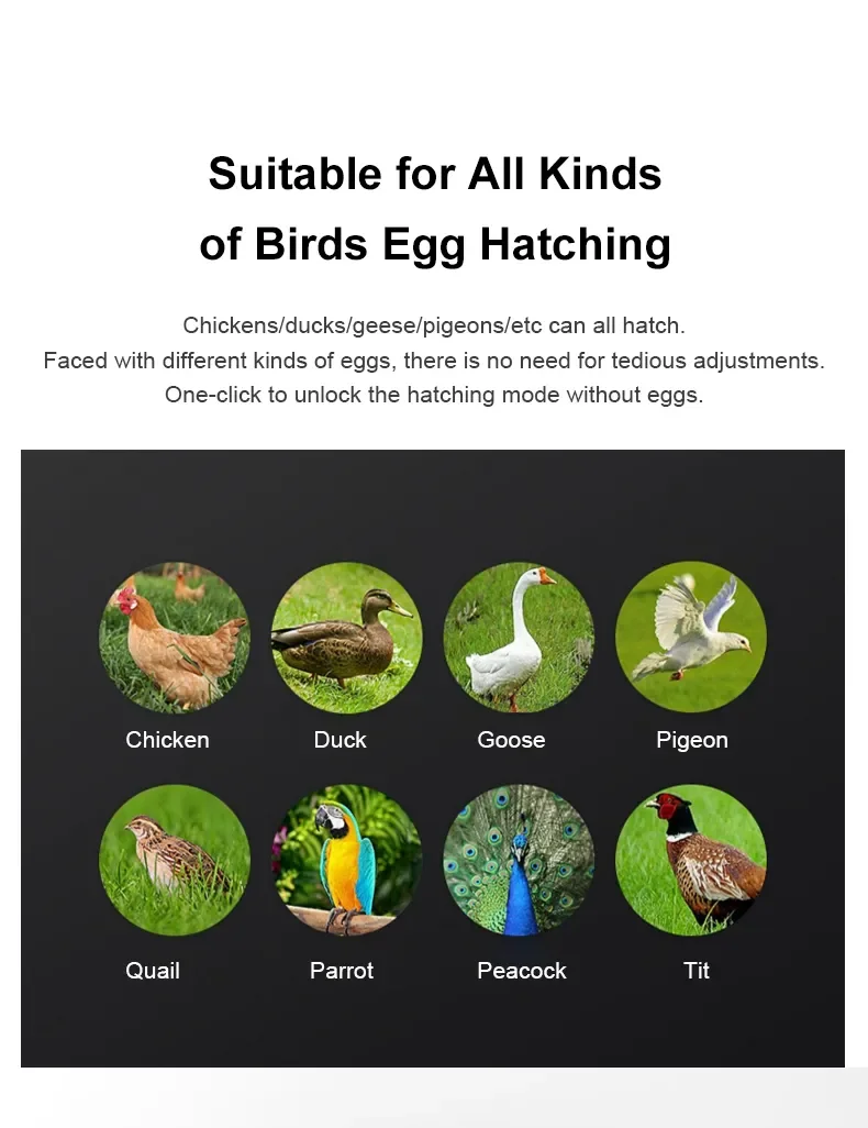 Fully Automatic Egg Hatching Machine Incubator 220V 12V  Chicken Duck Goose Bird Egg Incubator