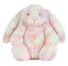 Rainbow bunny