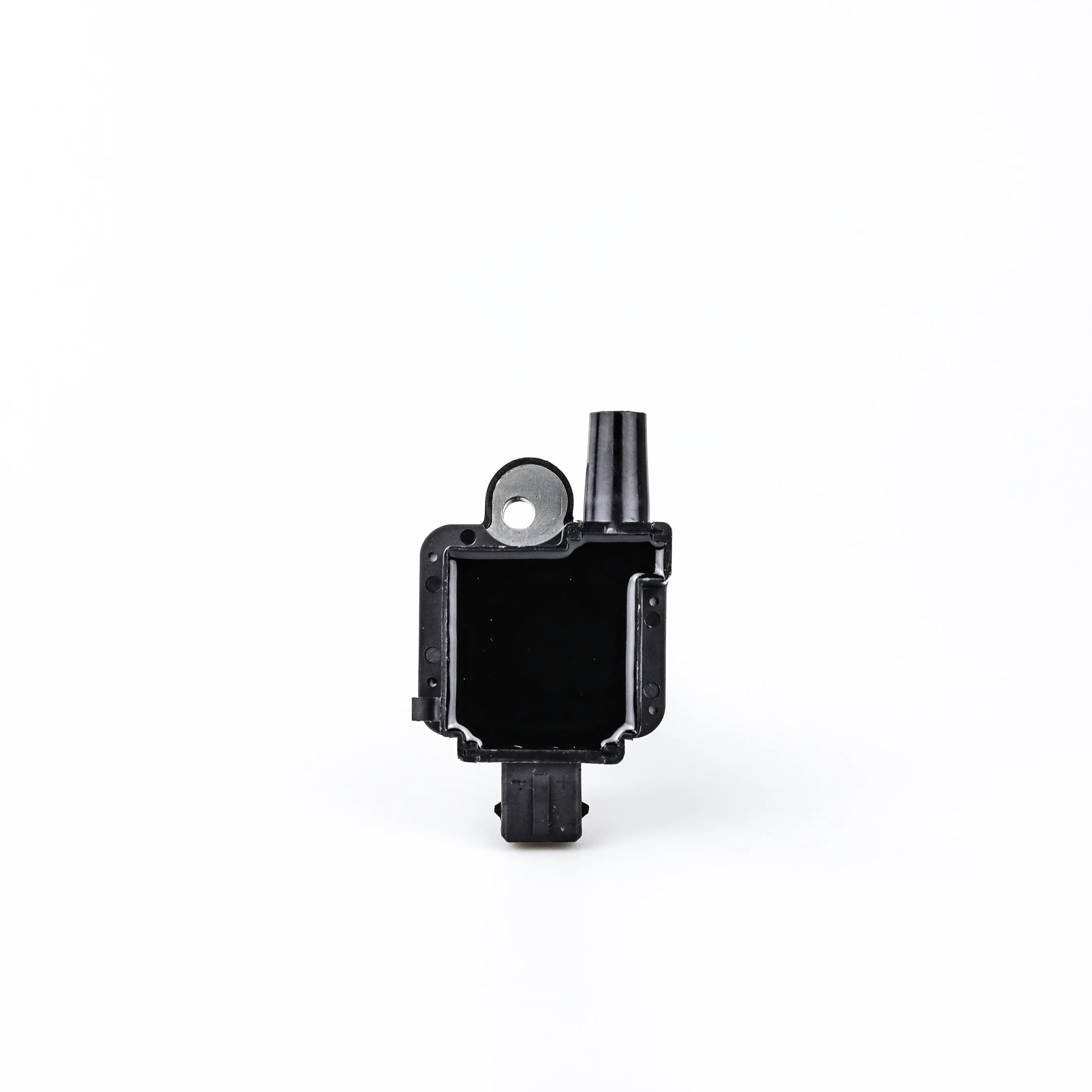 Ignition Coil - F01R00A021