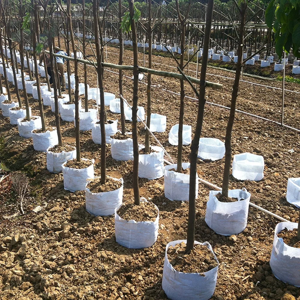 Non Woven Fabric Pot Planting Grow Bags Manufacturer