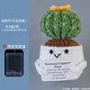 cactus bola
