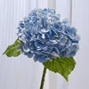 สีฟ้า