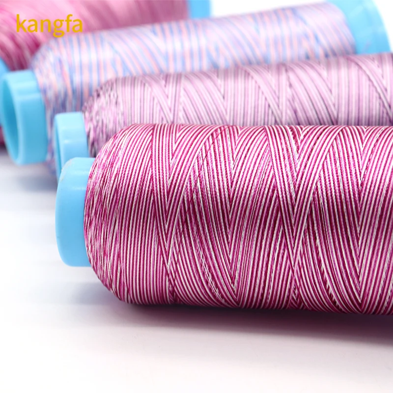 Colorful China 120d 2 Polyester Embroidery Thread Variegated for Embroidery Machine