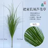 Large bunches of long-bearded reeds, green