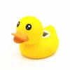 Canard mignon