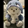 Blue shark coat shoes trousers