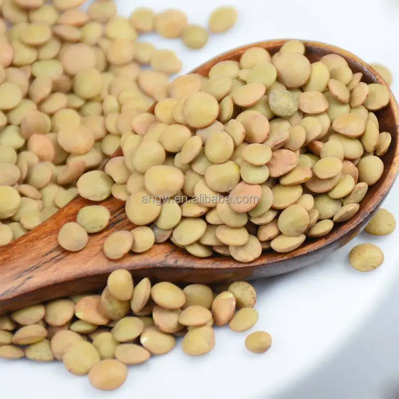 Wholesale Newest Crop Small Lentils Beans High Quality Bulk Dried Green